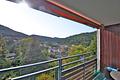 Wohlfühlen, investieren, genießen – Ihr Rückzugsort im Schwarzwald wartet auf Sie! - Aussicht vom Balkon