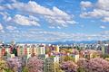 3-Zimmer Panorama-Eckwohnung im 10. OG mit Alpenblick, Südbalkon & Tiefgarage am Ostpark - Blick über Baumkrone