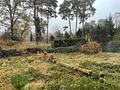 Baugrundstück in gefragter Lage im schönen Schildow - Grundstück 3