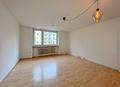 Untere Au: SOFORT VERFÜGBAR & LEER:  ruhiges 1 Zimmer-Appartement im Rückgebäude - Wohn/Schlafbereich