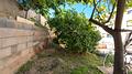 ***Erdgeschosswohnung mit großen Terrassen und Obstgarten in Palma*** - 7