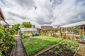 Großzügiges Haus mit separater Einliegerwohnung und großem Garten in Kirchardt - Garten