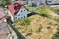 Schwarzwaldtraum: Villa mit Selbstversorgergarten für WG und Mehrgenerationen -gegen Gebot - Obstgarten
