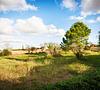 ***Bauernhaus in Santa Eugènia*** - 7