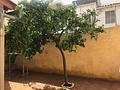 ***Helles Apartment in Santa Catalina mit Patio***
