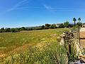 Finca mit Weinbergen in Sencelles auf Mallorca zu verkaufen