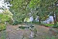 Grünes Paradies in Top-Lage Heidelberg-Schlierbach: Bestehendes Haus sanieren oder neu bauen - Garten