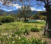 Mallorca Finca in Alleinlage mit exclusiver Olivenölproduktion und touristischer Vermietungslizenz in Esporle - IMG-20190409-WA0020