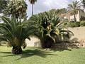 Mallorca charmante Villa mit Golfblick in Son Vida zu verkaufen