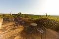 Riesige historische Finca mit ca. 4.000 bebauter Fläche und 1.200.000 m² Land in der Nähe von Palma