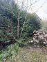 Beste Wohnlage - ruhig mitten im Wald und doch Großstadtnah - hier kann man sich ein Heim bauen! - 00004