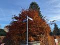 Bauträger freies Grundstück für 2 Einfamilienhäuser in Stahnsdorf - Markhofstraße/Elsestraße
