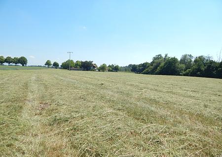 Landwirtschaftlicher Grund als Geldanlage - in 84529 Tittmoning/Südbayern, Nähe Leitgeringer See