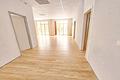 335m² Wohn-/Nutzfläche *aufstockbar* + 2.784m² bebaubares Grundstück - Flur