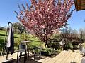Samerberg sonniger Logenplatz - inklusive Panoramablick - Weite fühlen - Ruhe finden - Terrassenbereich