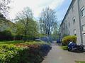 Trier Heiligkreuz - 3 Zimmer Whg. Kü./Bad/ Loggia- im Hochparterre in MFH - BB3 Zugangsbereich mit Grünalange