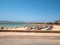 Mallorca schöne Wohnung in erster Meereslinie in Palma, Cuidad Jardin zu verkaufen