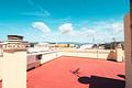 Mallorca neu renoviertes, grosszügiges Apartment in bester Lage 100 m vom Strand zu verkaufen