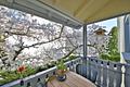 Stilvolle 4-Zimmer-Altbauwohnung, hochwertig saniert, Balkon, in Baden-Baden City - Balkon - Loggia