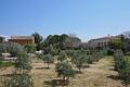 ***Traumfinca in perfektem Zustand mit Olivenölproduktion, Santa Maria, Mallorca***