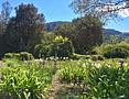 Mallorca Finca in Alleinlage mit exclusiver Olivenölproduktion und touristischer Vermietungslizenz in Esporle - IMG-20190409-WA0019