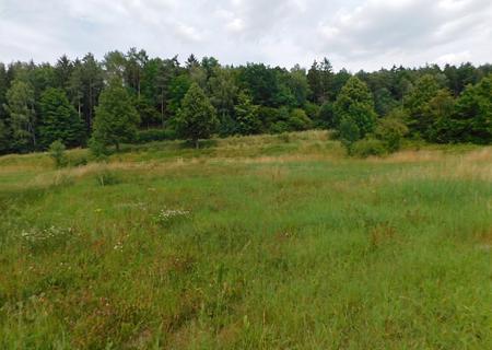 Rittersdorf-Südeifel,nähe Bitburg- vollerschlossenes Baugrundstück