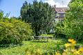 Historisches Villen-Flair und flexible Optionen - Naturnah eingewachsener Garten