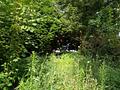 Baugrundstück (erschlossen) - an einer Hauptstraße, aber in 2.ter Reihe und dadurch ruhig gelegen - 3 Grundstück (Blick Richtung vorderer Bereich)