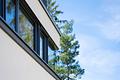 Sofort bezieh- oder vermietbar: Loft-Apartment am Perlacher Forst - ideale Kapitalanlage! - Detailansicht der Fenster