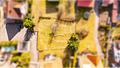 HEGERICH: Großzügiges Baugrundstück mit vielfältigen Bebauungsmöglichkeiten in Nürnberg-Kornburg - Grundstück