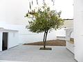 ***Neu saniertes Apartment mit Garten mitten in Palma***