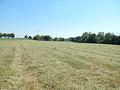 Landwirtschaftlicher Grund als Geldanlage - in 84529 Tittmoning/Südbayern, Nähe Leitgeringer See