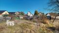 PROVISIONSFREI: Einfamilienhaus in Klostermansfeld mit Garage & Gestaltungspotenzial - Garten