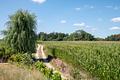 Leben im Grünen - modernes Landhaus mit ELW in einzigartiger Gartenoase - Leben am Feldrand