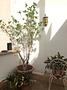 ***Penthouse mit Terrasse in bester Altstadtlage*** - IMG_7120