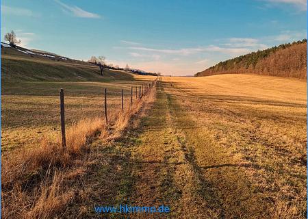 1 ha Ackerland zwischen Wernigerode und Darlingerode - Acker bei Darlingerode