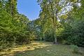 ++Altbaujuwel teilmöbliert mit parkähnlichem Garten in Niederursel++ - parkähnliche Gartenanlage