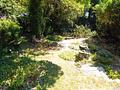 Ein charmantes Einfamilienhaus mit schönem Süd-West-Garten in Toplage München -Trudering - Garten 