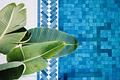 Mallorca Neues, renoviertes Stadthaus mit privatem Pool in Palma zu verkaufen
