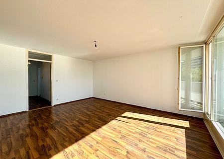 Charmantes 1-Zimmer-Zuhause mit Westbalkon - Wohnbereich