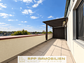 Renovierter Dachterrassentraum mit viel Privatsphäre in Unterschleißheim - Süd-Dachterrasse