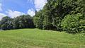 Wald, Weitblick, Werte – ca. 1,9 ha gepflegter Waldbestand mit Alpenpanorama - www.remax-prime.de