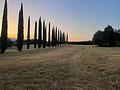 Das zum Verkauf stehende Anwesen ist von historischer Bedeutung und stammt aus dem Jahr 1779 - Siena