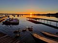 Herbstlicher Traumgarten umgibt geräumige DHH in Gilching - Umgebungsfoto: junge Schwäne am Wörthsee