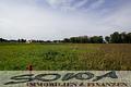 Großzügiges Baugrundstück im neuen Wohnbaugebiet in Neuburg - Heinrichsheim - Ein Objekt von SOWA Immobilien & Finanzen Ihrem Immobilienprofi vor Ort