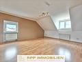 Provisionsfrei - Großzügiges Apartment mit Umbauoption auf 2 Zimmer und Genehmigung für einen Balkon - Wohnbereich