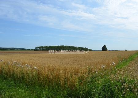 gut anfahrbare Ackerfläche - Blick auf die Ackerfläche