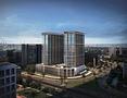 Studio zwischen Creek und Downtown - 24010_201_Bird_shot copy