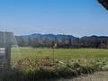 Denkmalgeschützter ehemaliger Einfirsthof 
- Großes Ausbaupotential auf ca. 482 m² Wohnfläche - Sommer-Impression