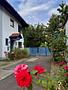 Herbstlicher Traumgarten umgibt geräumige DHH in Gilching - Willkommen im Gartenparadies